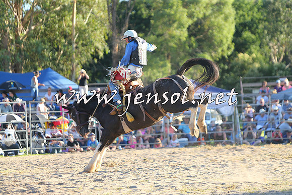 PictonRodeo2015_2244