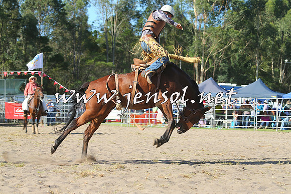 PictonRodeo2015_1838