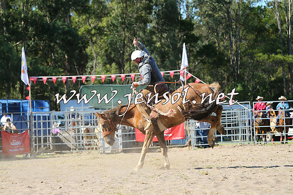 PictonRodeo2015_1651