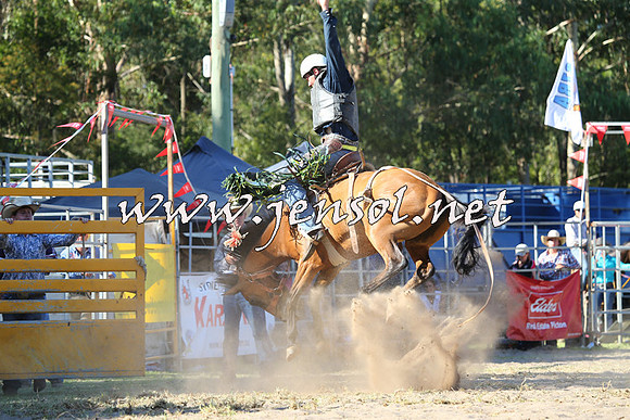 PictonRodeo2015_1865