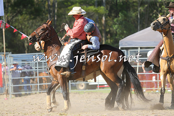PictonRodeo2015_1829