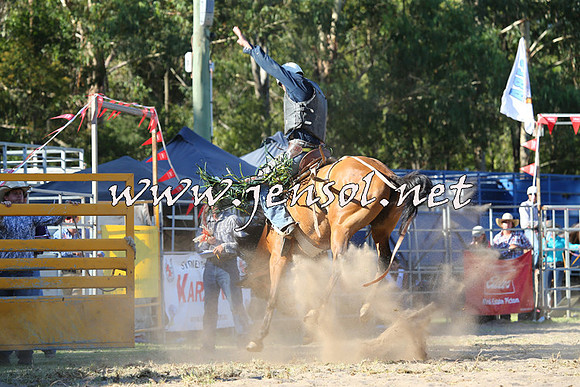 PictonRodeo2015_1859
