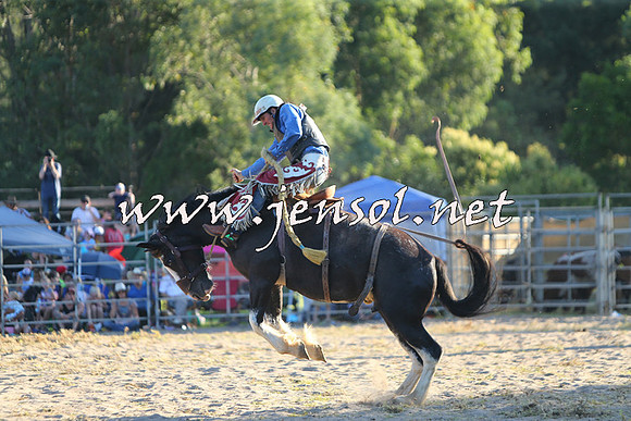 PictonRodeo2015_2240