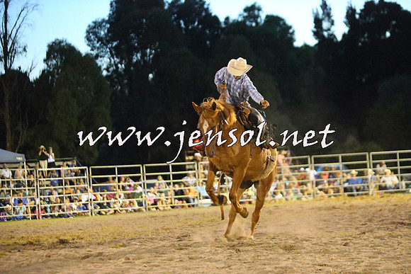 PictonRodeo2015_2992