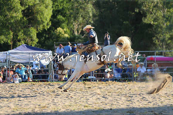 PictonRodeo2015_2175