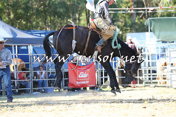 PictonRodeo2015_1903