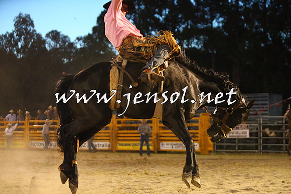 PictonRodeo2015_3066