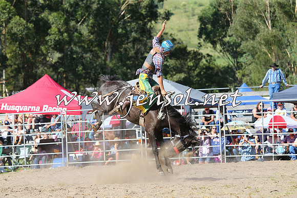 PictonRodeo2015_1618