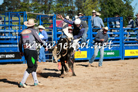 BraidwoodRodeo2016_1254