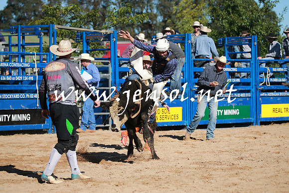 BraidwoodRodeo2016_1254