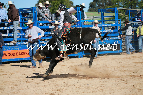 BraidwoodRodeo2016_1667