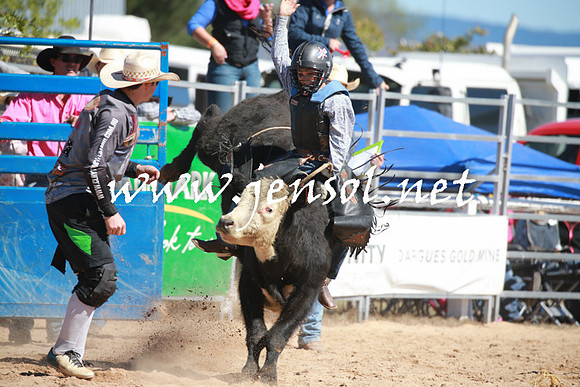 BraidwoodRodeo2016_2161