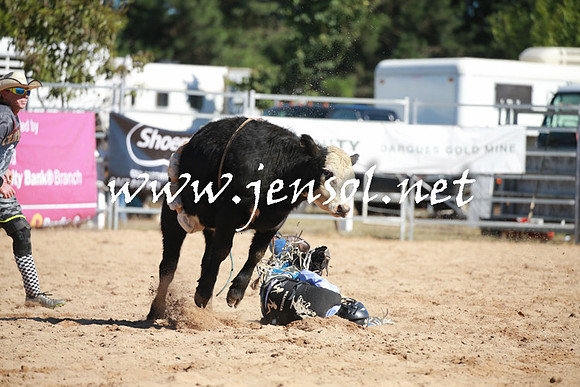 BraidwoodRodeo2016_1720