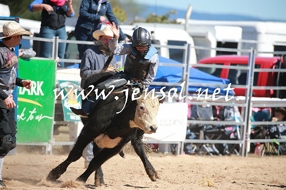 BraidwoodRodeo2016_2173