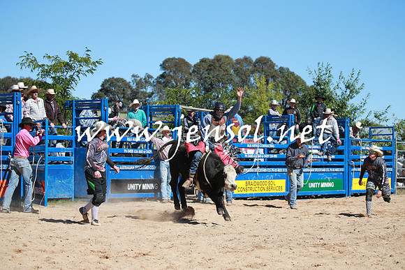 BraidwoodRodeo2016_2066