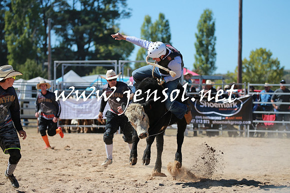 BraidwoodRodeo2016_2332