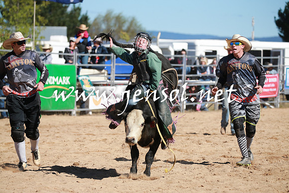 BraidwoodRodeo2016_1761
