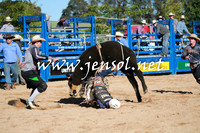 BraidwoodRodeo2016_1257
