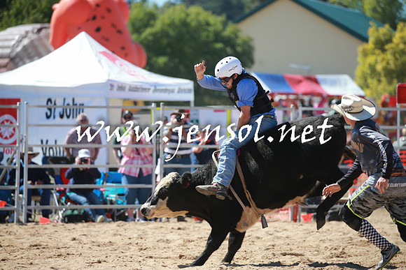 BraidwoodRodeo2016_2293