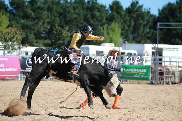BraidwoodRodeo2016_2041