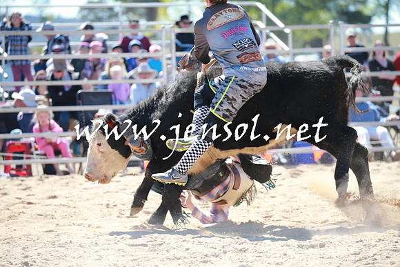 BraidwoodRodeo2016_2267