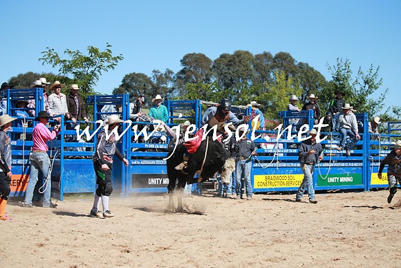 BraidwoodRodeo2016_2052