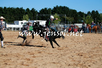 BraidwoodRodeo2016_1236