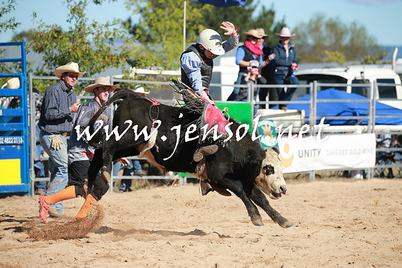 BraidwoodRodeo2016_1342