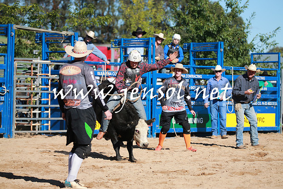 BraidwoodRodeo2016_1308
