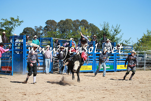 BraidwoodRodeo2016_2062