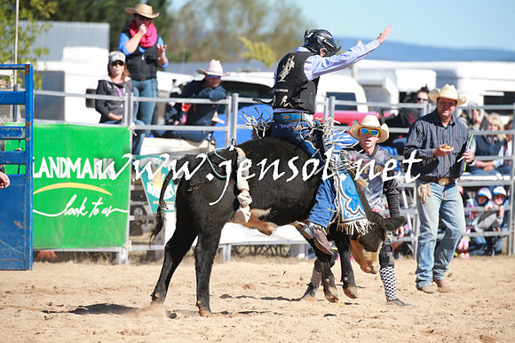 BraidwoodRodeo2016_1718