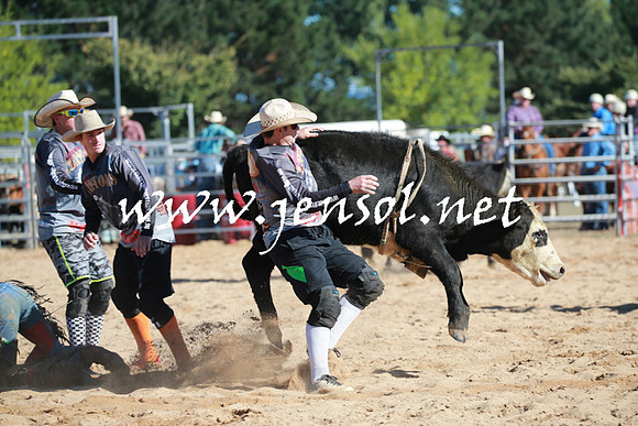 BraidwoodRodeo2016_1355