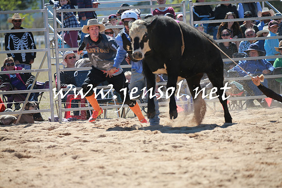 BraidwoodRodeo2016_2326