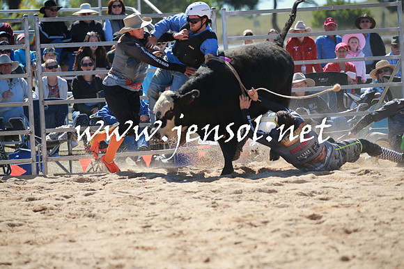 BraidwoodRodeo2016_2309