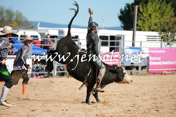 BraidwoodRodeo2016_1622