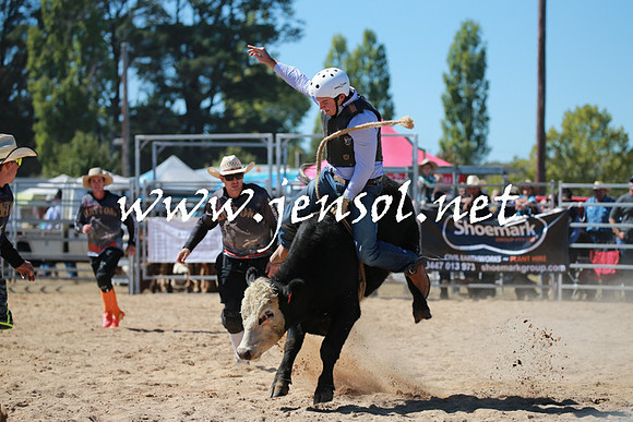 BraidwoodRodeo2016_2331