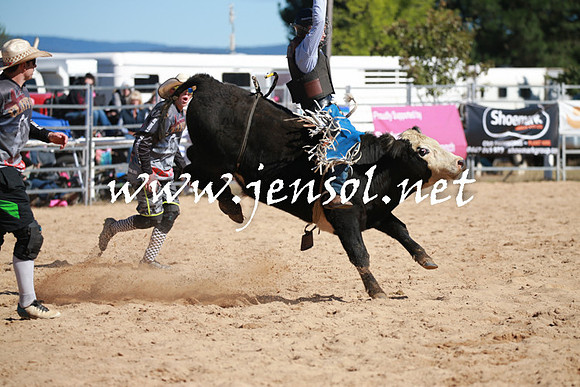 BraidwoodRodeo2016_1792