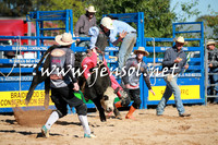 BraidwoodRodeo2016_1330