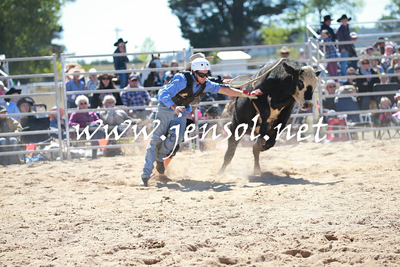 BraidwoodRodeo2016_2317