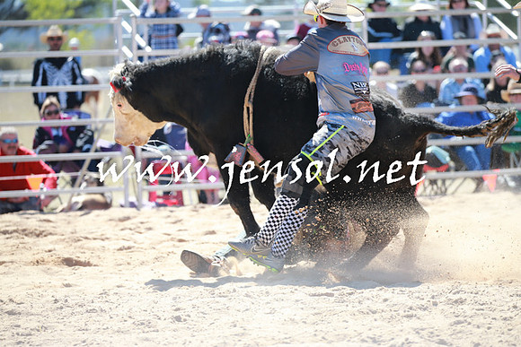 BraidwoodRodeo2016_2266