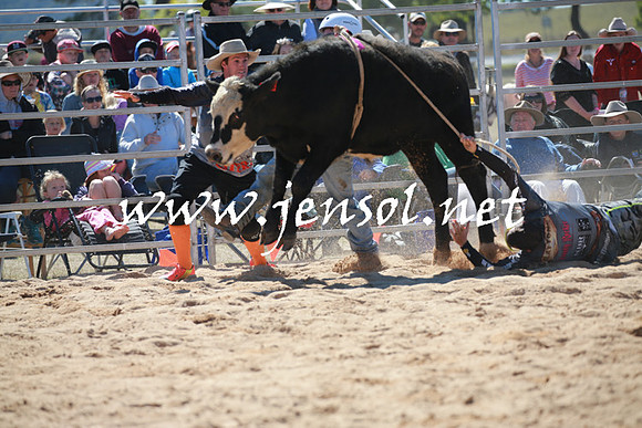BraidwoodRodeo2016_2323