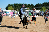 BraidwoodRodeo2016_1276