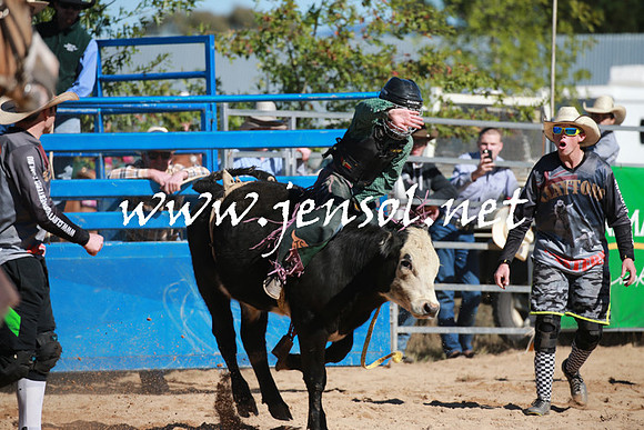 BraidwoodRodeo2016_1735