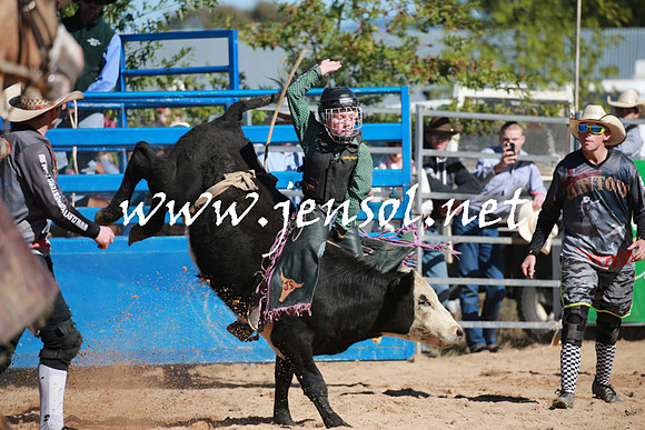 BraidwoodRodeo2016_1724