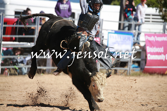 BraidwoodRodeo2016_2170