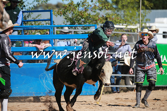 BraidwoodRodeo2016_1736