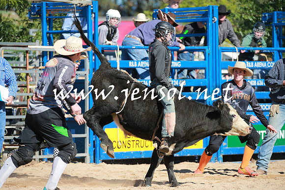 BraidwoodRodeo2016_1614