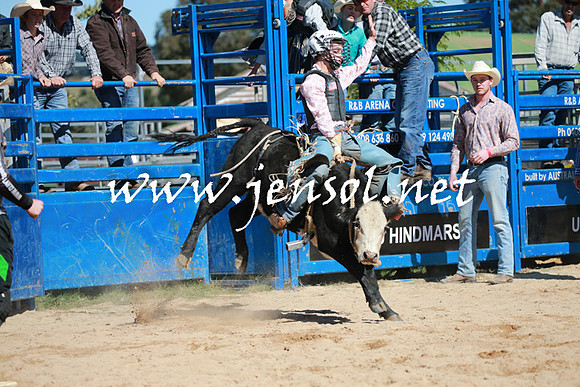 BraidwoodRodeo2016_2109