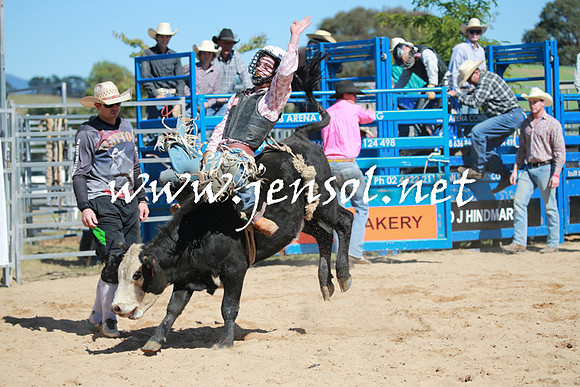 BraidwoodRodeo2016_2132