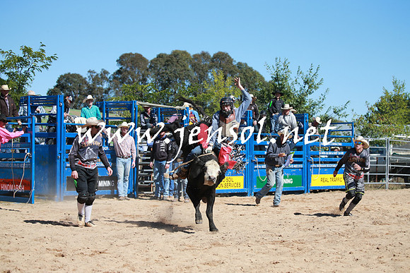 BraidwoodRodeo2016_2059